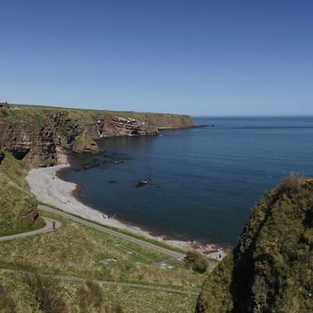 Clifftop Cottage Arbroath Dış mekan fotoğraf